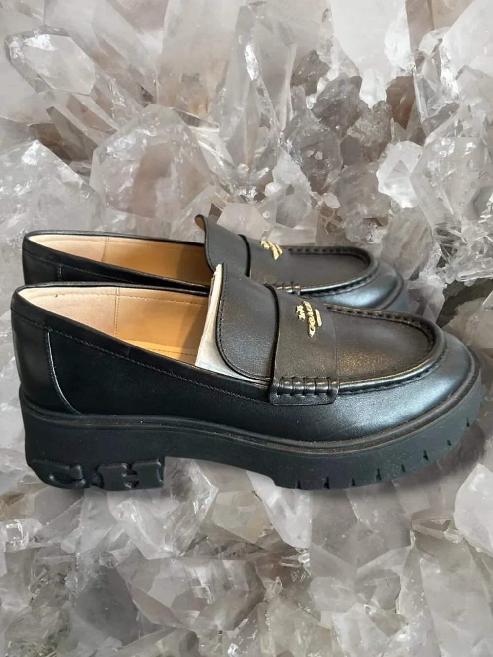 Coach Ruthie Leather Platform Loafer
